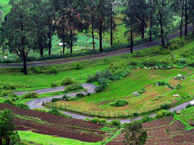 Bangalore, Mysore, Ooty Package 4 Nights 5 Days